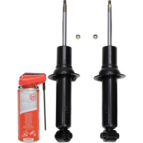 Stoßdämpfer hinten links/rechts 16K007642P (1/4)