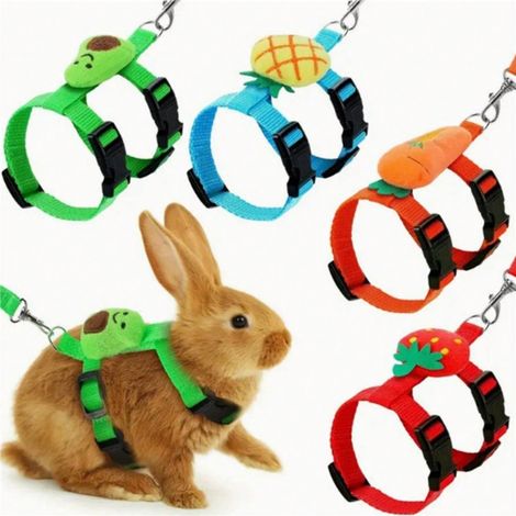 1 set d'harnachement et laisse réglables pour lapin : harnais de petit animal mignon en forme de fraise, carotte ou autre fruit, adapté aux lapins et furets, styles aléatoires (1/5)