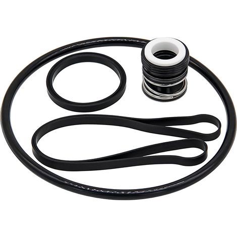 Hayward SP3000X Reparatursatz, SPX1600Z2 PS-201 Wellendichtung (1/5)