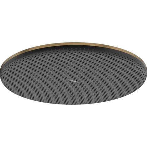 Hansgrohe 24523140 Pomme de douche Raindance Alive Q