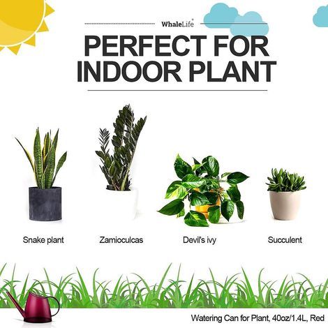 HONORNIC - Arrosoir d'intérieur rouge, adapté aux plantes en pot et aux fleurs de jardin, long bec, capacité de 1,4 litres (1/3 gallon). (1/3)