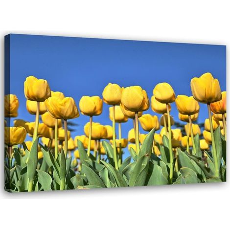 Tableau déco Fleurs de tulipes Nature 60x40 (1/5)