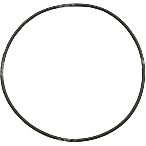 O-RING für Elektropumpen ROVER POMPE KOMPATIBEL - 004706