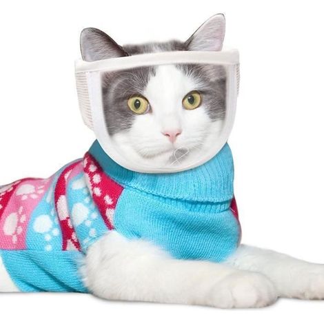 (M) Masque Chat Anti-Morsure, Respirant Muselière Réglable pour Chat, Muselière de Toilettage pour Chat, Éviter Mordre et Mâcher, p