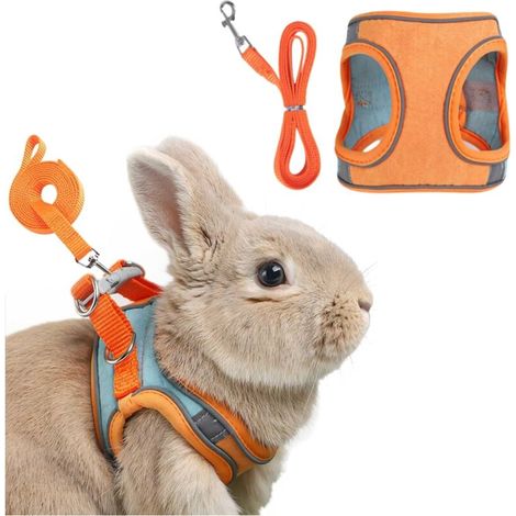 Harness with leash for rabbits and small animals