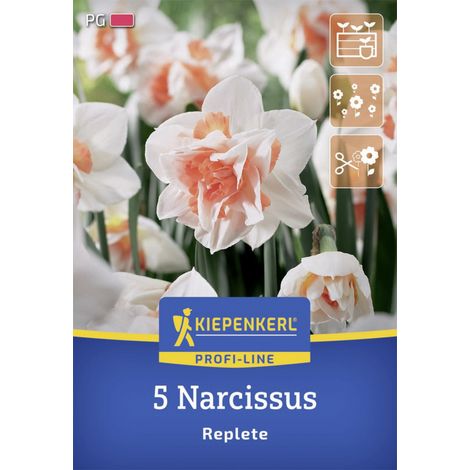 Kiepenkerl Herbstblumenzwiebel Profi-Line Gefüllte Narzisse Replete 5 Stück