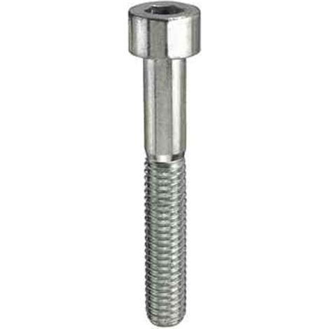 Viti metriche TCEI Inox A2 - M8 x 80 - 2 pz.