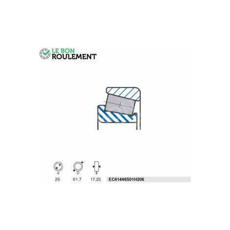 Roulement à rouleaux EC41446S01H206-SNR