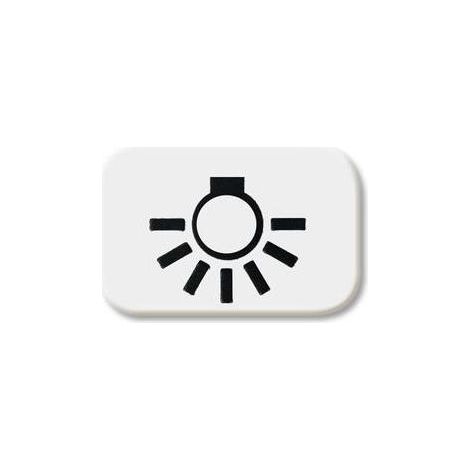 Busch-Jaeger 2525 LI-214 Tastersymbol Licht (1/5)