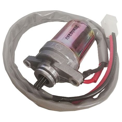 Yamaha 2XX-81800-02 Honda CH80 Beluga Anlasserbaugruppe