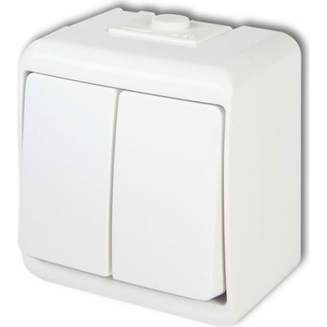 Interrupteur Double - IP54 - 10 A - 250 V - Bornes À Vis - Pour Garage Atelier Extérieur - 1 Pièce (1/2)