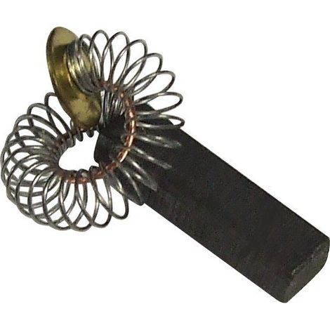 Charbon moteur pour Robot multifonction KENWOOD KW170764