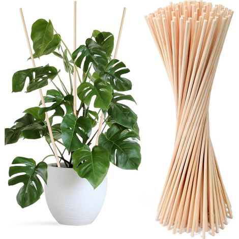 100PCS Piquets de Soutien pour Plantes de Jardin en Bambou Longueur 40 Cm Diamètre 5 Mm Tuteurs pour Plantes de Jardin Support Plante Piquet de Soutien pour Plantes en Pot (1/5)