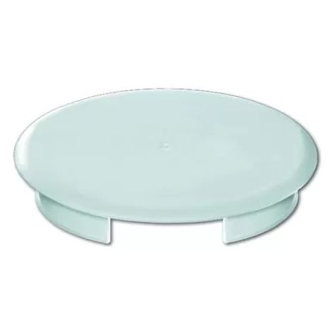 Busch-Jaeger Blinddeckel 8229/3 (1/2)