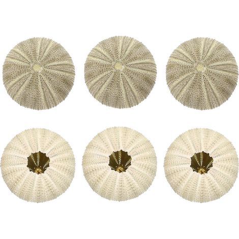 Lot de 6 pots pour plantes aériennes, décor de table en forme d'oursin de mer, pour loisirs créatifs.-5.00X5.00X2.60CM-Green (1/4)