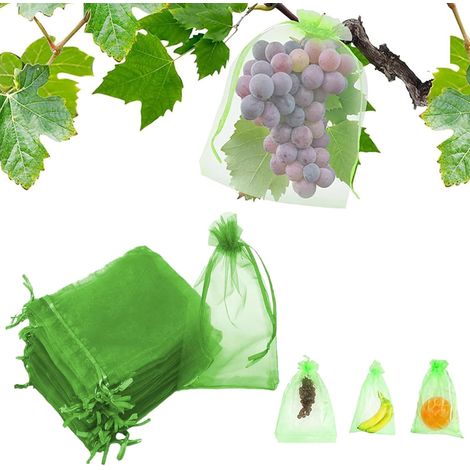 Sachet Protection Raisin,100 pièces Sac Protection Fruits,Sachet protection Fruits,Sachet Protection Raisin 20x 30cm Jardin Sac Organza avec Cordon Contre Guêpe Drosophile Scarabées Oiseaux (1/5)