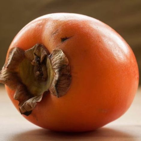 PIANTA DA FRUTTO CACO VANIGLIA in vaso 24 età 3/4 anni (foto reali)