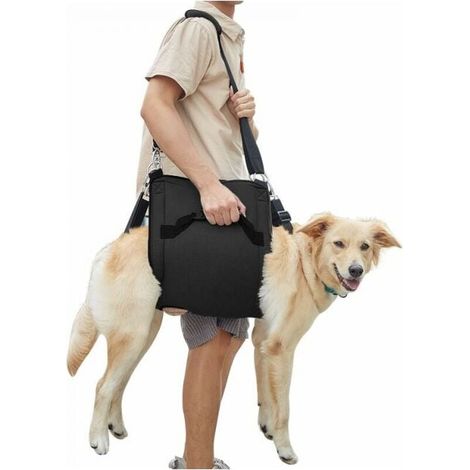(M, Schwarz) Hundetragegeschirr, Notfallrucksack zur Unterstützung und Rehabilitation der Beine von Haustieren (1/4)