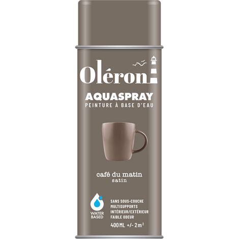 Aerosol Technima Aquaspray Oléron Café Satinato 400ml - Technima