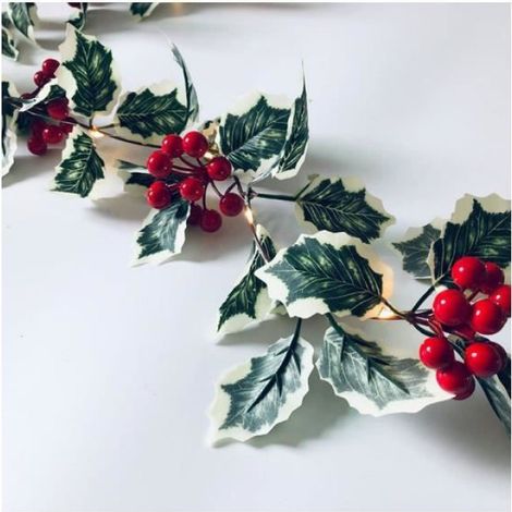 Guirlande lumineuse de Noël en rotin fruit rouge 2 mètres 20 lumières batterie (1/4)