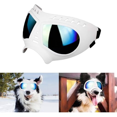 Glasses for Dog Glasses for pets, Glasses for Means Large Dog of Anti-UV Waterproof and Cutting-Wind - White- (1/4)