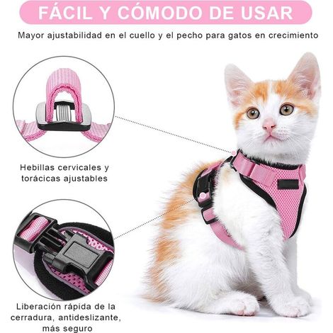 Harnais pour Chat Réglable et Confortable avec Laisse Ensemble Anti-Évasion en Maille Respirante pour Chatons et Chats Adultes (1/5)