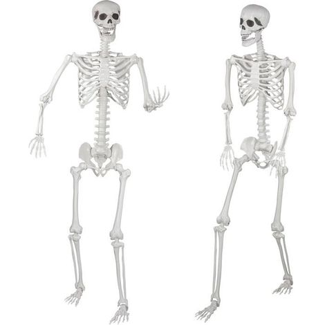 Squelette Grandeur Nature pour Halloween, 180 cm, Squelette Entier positionnable avec articulations, 2 pièces (1/5)