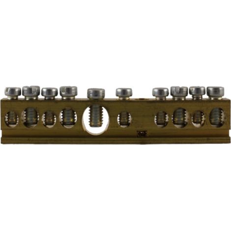 Morsetto di derivazione 1 polo 10 vie 125A Schneider Electric