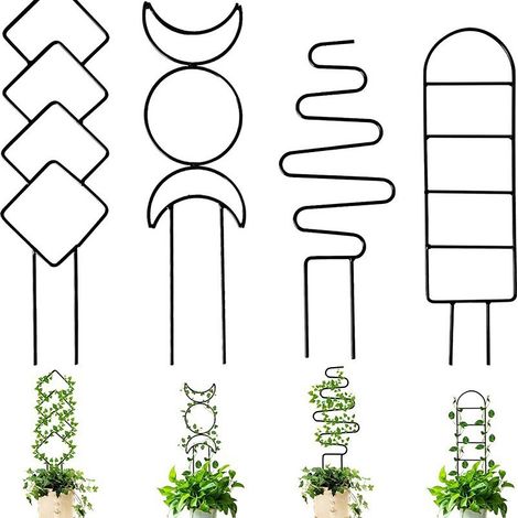 pezzi di traliccio - piante da interno - piccoli scaffali da giardino in metallo - piante in vaso da esterno - edera - fiori - e altre piante rampicanti (1/3)