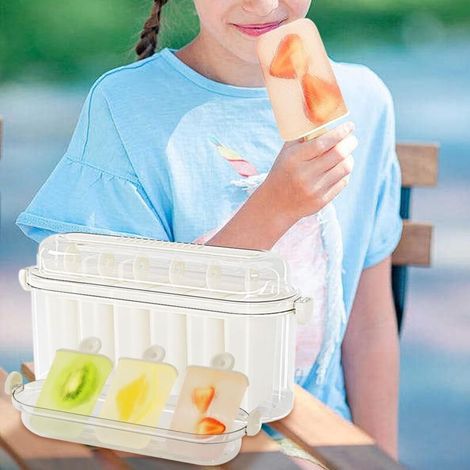 Selbstgemachte Eisformen, Eisformen mit 6 Mulden (1/5)