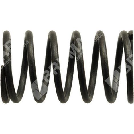 Ventilfeder für DAYE-Motoren - DAYEE - 037946