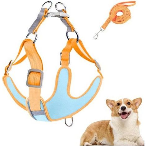 Harnais de traction réglable pour chien - tobeDRI - Réglable pour chiens moyens à grands (1/5)
