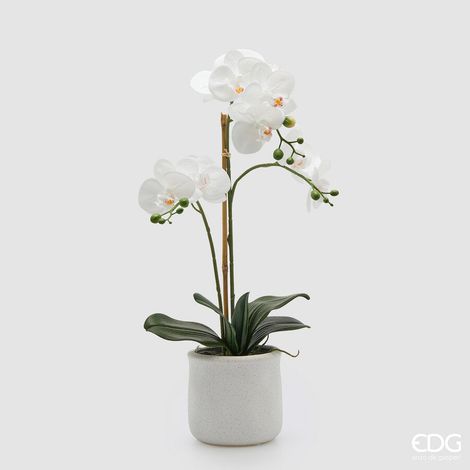 EDG Enzo De Gasperi Orchidea Phalaenopsis x3 con Foglie e Vaso H 56 Cm Pianta Artificiale Bianco