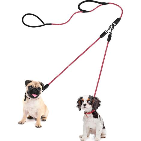 1 laisse double pour chien, corde d'escalade 0,8 cm, système anti-emmêlement, poignées rembourrées, pour chiens taille moyenne