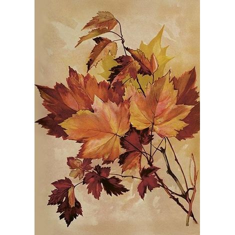 ST515 B6 Karte + Umschlag „Autumn Maple“