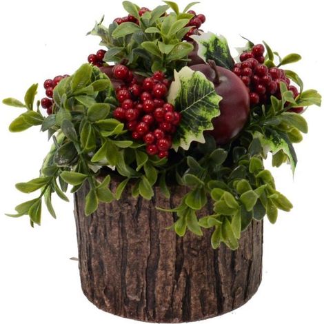 PIANTA CON BACCHE E MELE ROSSO