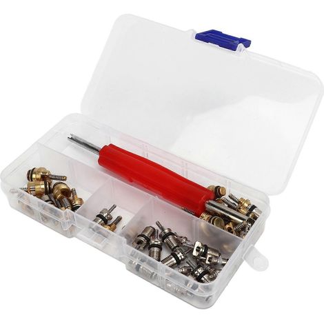 Kit de 41 pièces pour obus de vanne AC Master avec outil de démontage pour vannes de réfrigérant automobile R12 et R134a (1/5)