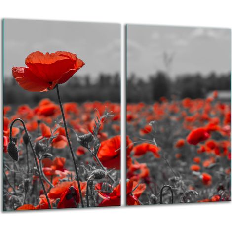 Tagliere in vetro 2x 30x52 fiori (1/5)