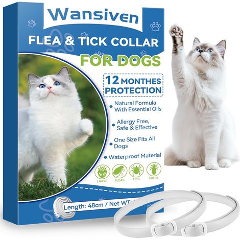 Collier Anti Puces pour Chats, Réglable Collier Anti-Puces et Tiques pour Chats et Imperméable, 12 Mois Collier Anti pour Chats 48cm (Bleu-2p) (1/5)
