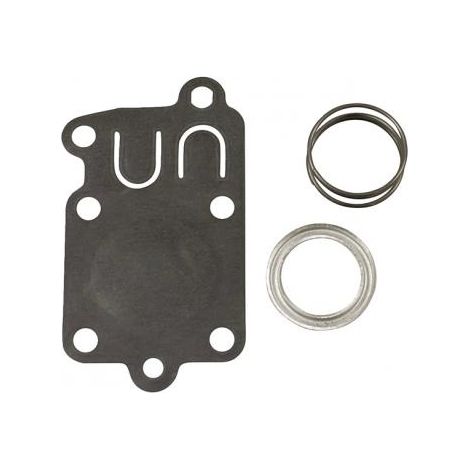 Membrana carburatore compatibile motore BRIIGS&STRATTON 005021 005021B