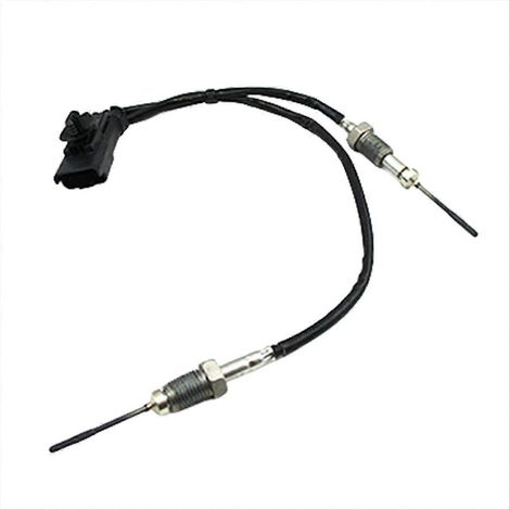 Abgastemperatursensor 9808312080 L22265 für Citroën (1/5)