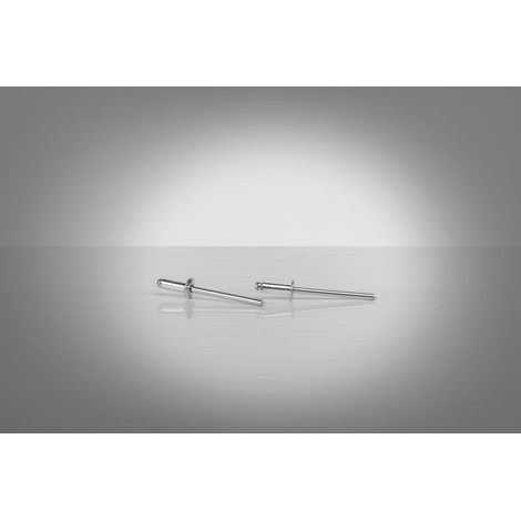 Gesipa 1454638 Rivet aveugle acier acier 500 pc(s) (1/2)