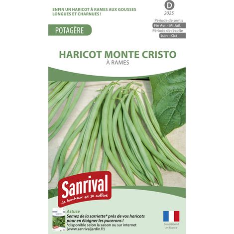 Graines Haricot à rames Monte Cristo