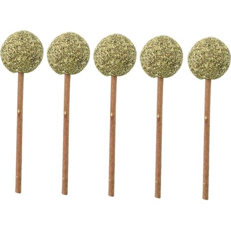 Jouet pour Chat Herbe a Chat Lot De 5 Sucettes Portables Bâtonnets De Stimulation Boule pour Mâcher Et Jouer Aide Au Nettoyage des Dents pour Chats Petits Et Moyens (1/5)