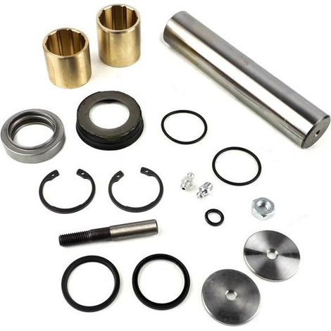 Kit de reparación de pivote Renault 5000794185, 0927448, 25100200A, 2569301, 6.94011 (1/4)