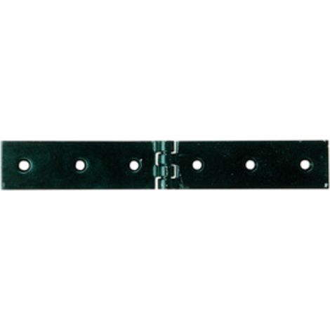 BL CERNIERA A LIBRETTO 160 X 30 MM DA 2 PZ Q.TA 6