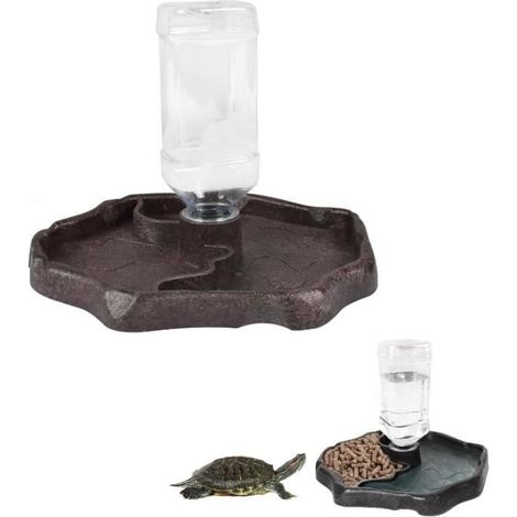 Bol à Eau pour Reptile, Distributeur d'eau pour Reptile Bol d'eau de Nourriture pour Reptiles Bol Reptiles 2 en 1 de Nnourriture (1/4)