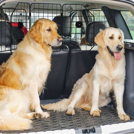 Griglia divisoria auto per cani regolabile 93-150 cm pieghevole in acciaio nero HAVRYA (1/4)