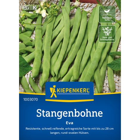 Kiepenkerl Saatgut Stangenbohnen Eva für ca. 15 Stangen (1/2)
