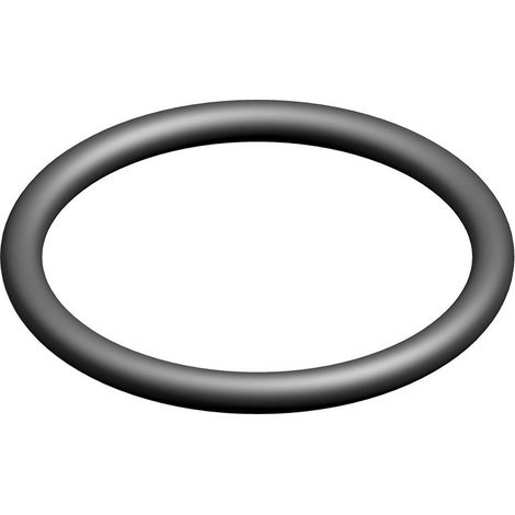 BOSCH O-Ring 36,09x3,53 (10x), 7101488 (1/2)